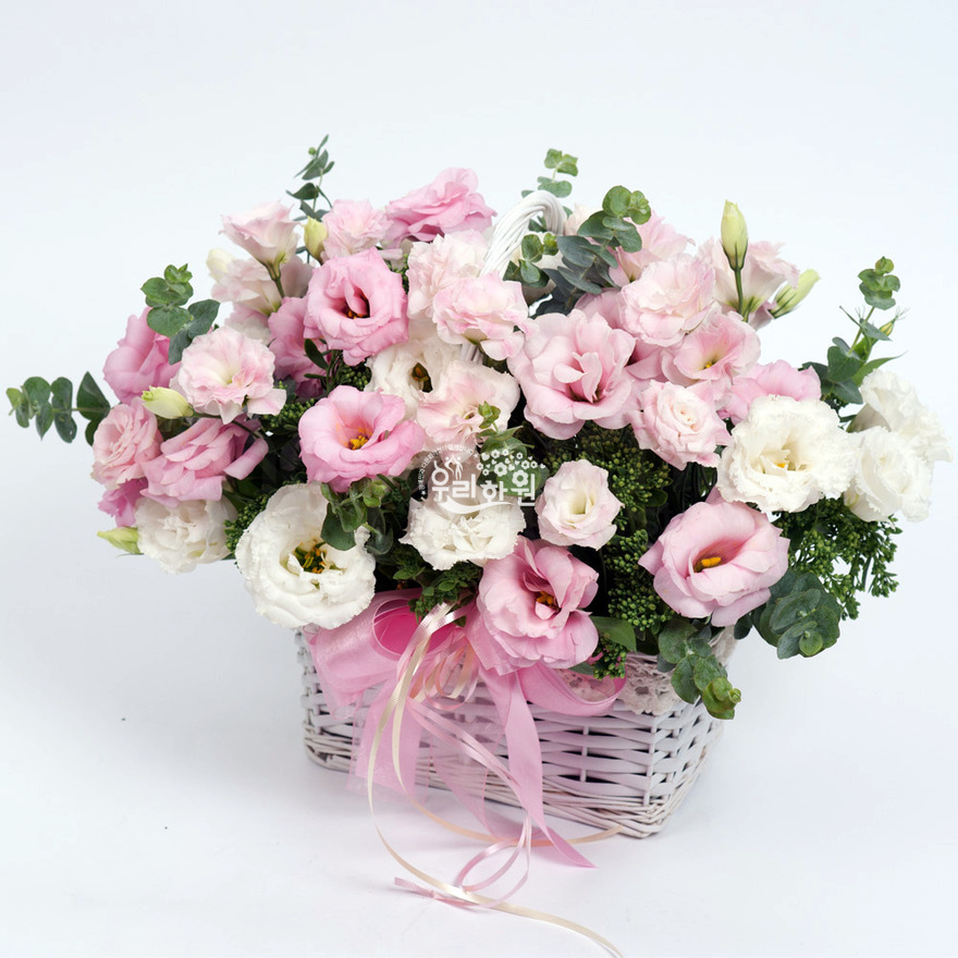 rac2125_2 상세이미지