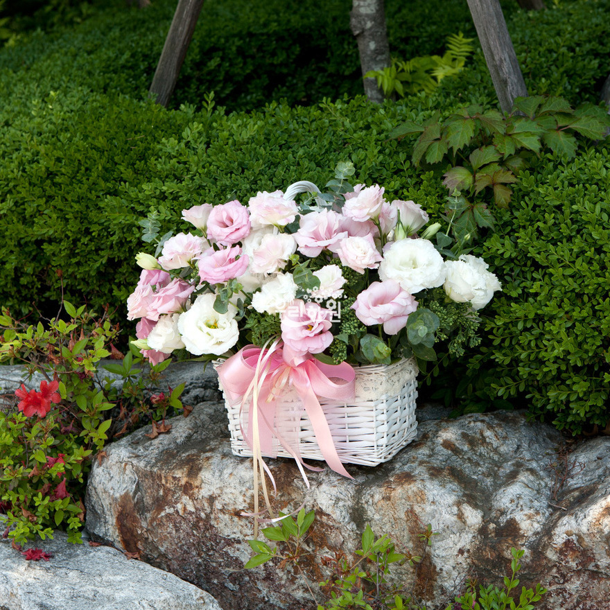 rac2125_8 상세이미지