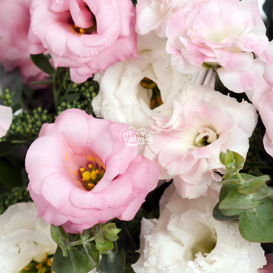 rac2125_9 상세이미지