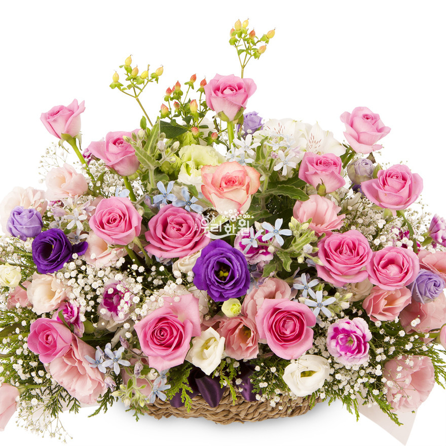 rac2147-1 상세이미지