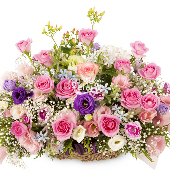 mixed rose basket