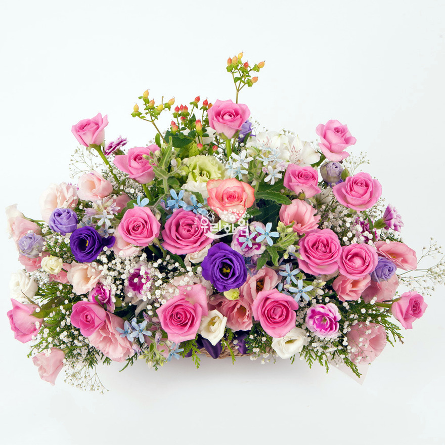 rac2147_1 상세이미지