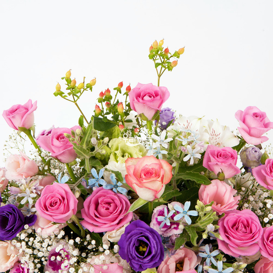 rac2147_2 상세이미지