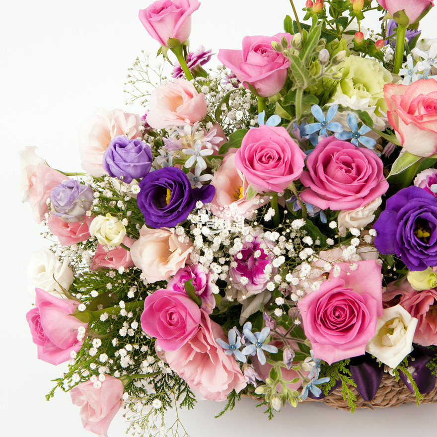 rac2147_3 상세이미지