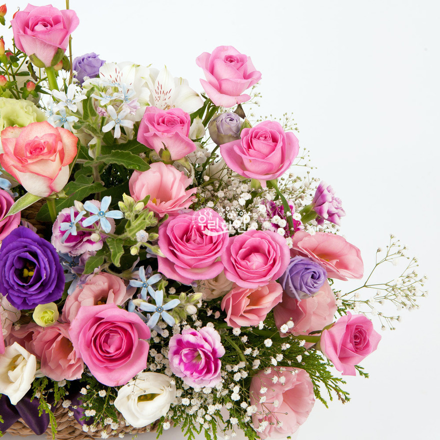 rac2147_4 상세이미지