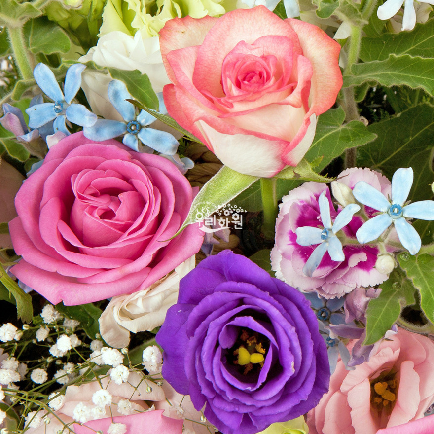 rac2147_6 상세이미지