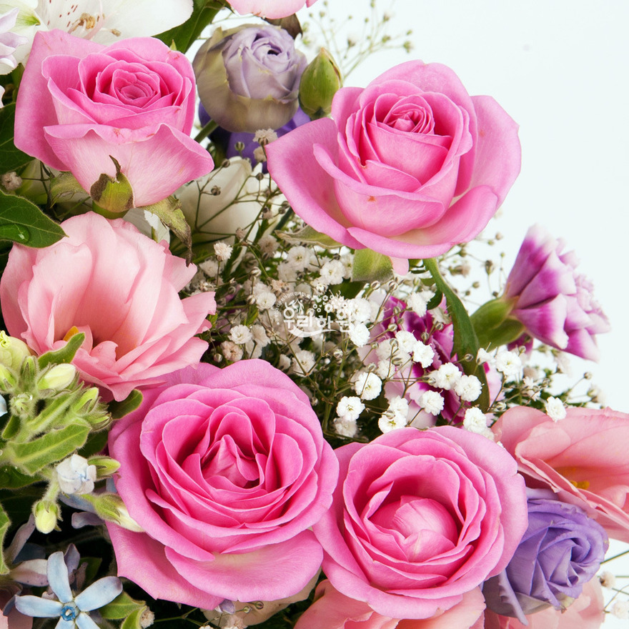 rac2147_7 상세이미지