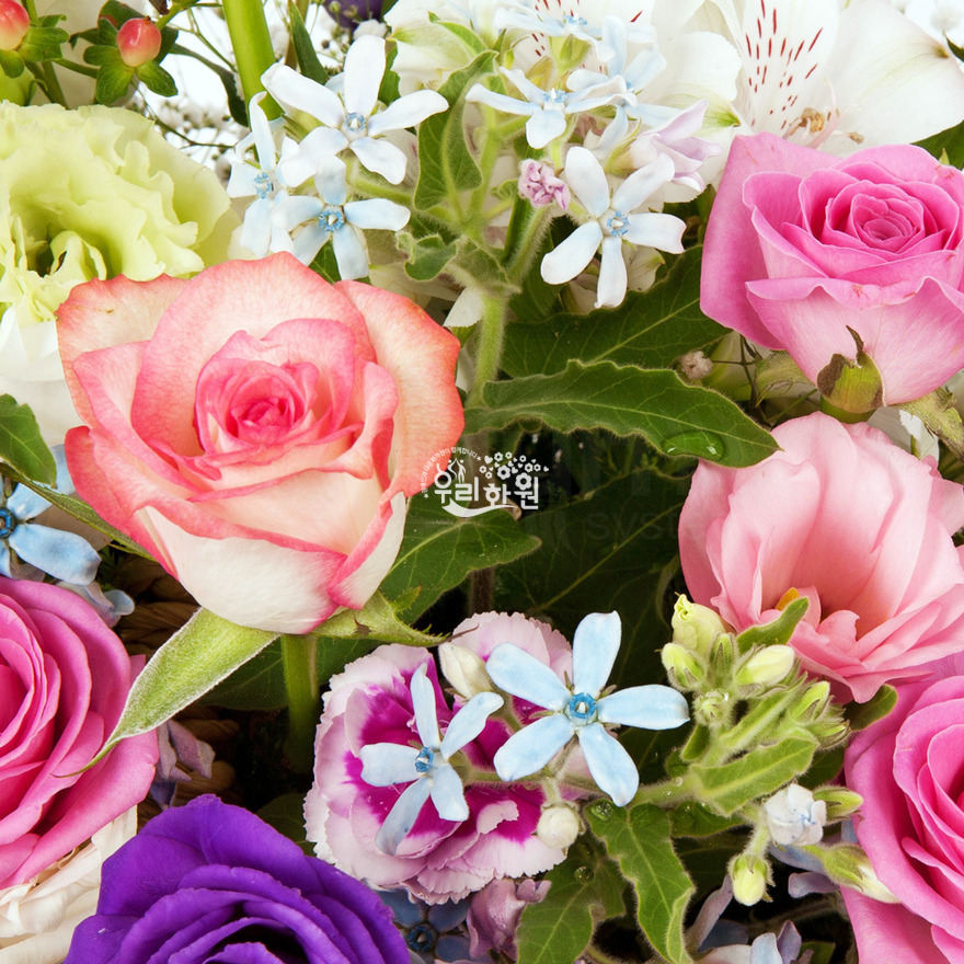 rac2147_8 상세이미지