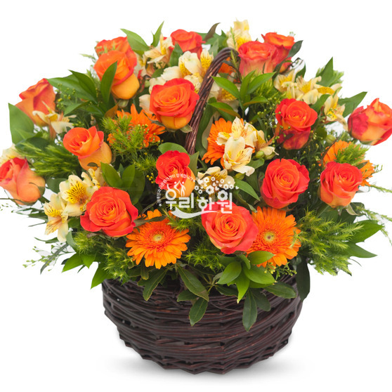 Gorgeous outing (flower basket)