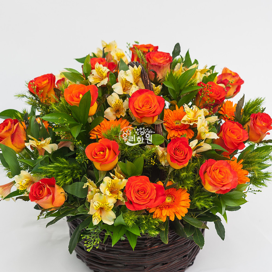 rac3016_1 상세이미지