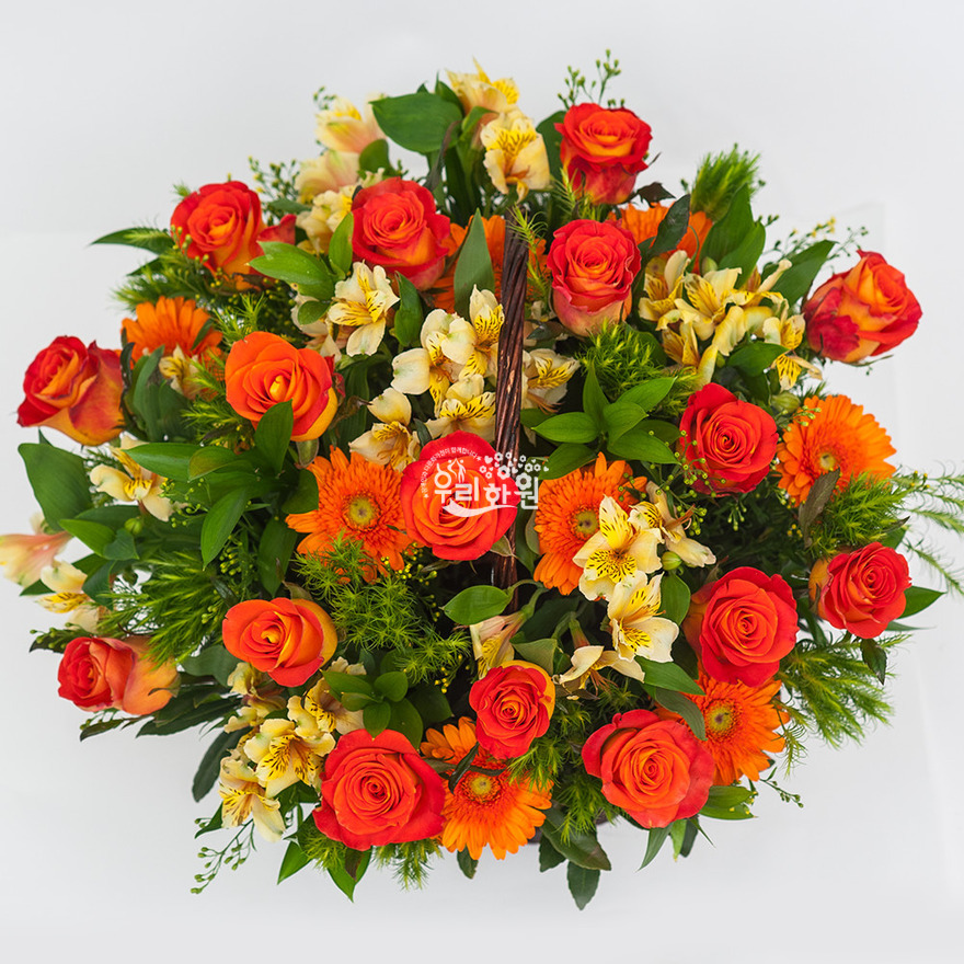 rac3016_2 상세이미지