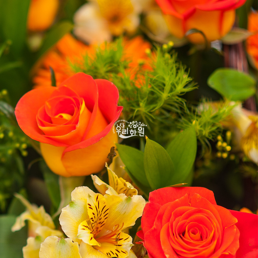 rac3016_6 상세이미지