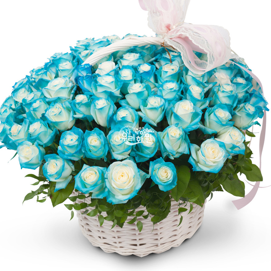 rac6121-1 상세이미지