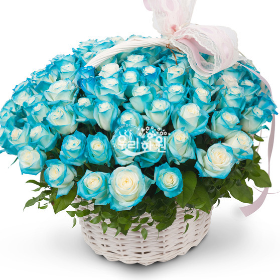 I love you ♥ 100 roses (special)