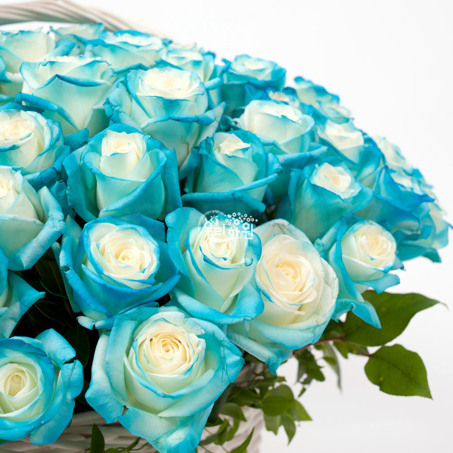 rac6121_4 상세이미지