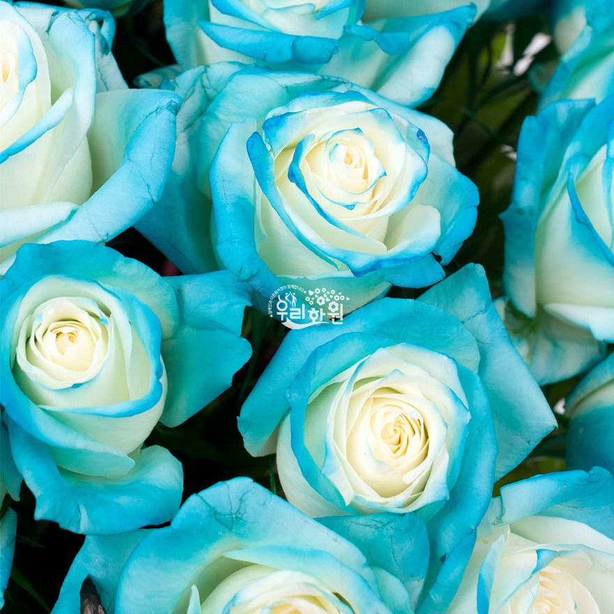 rac6121_6 상세이미지