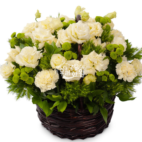 Lixian off-white basket