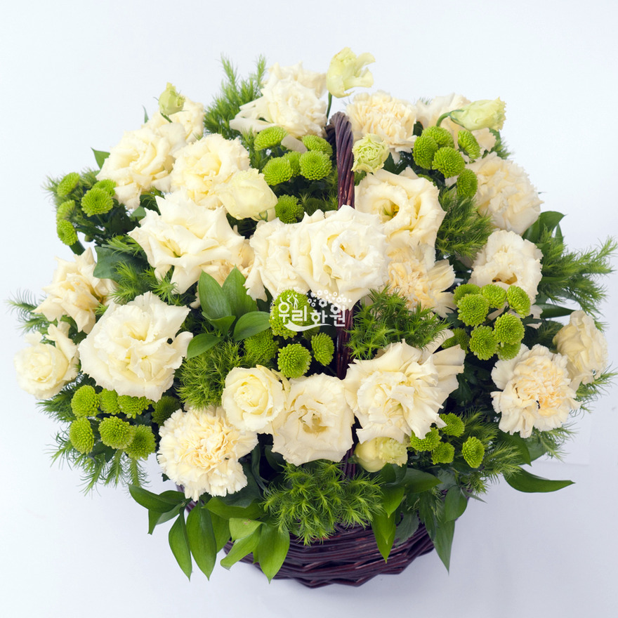 rac8073_1 상세이미지