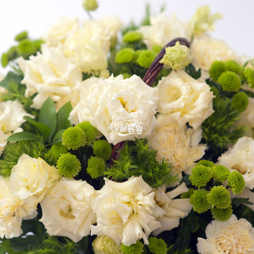 rac8073_2 상세이미지