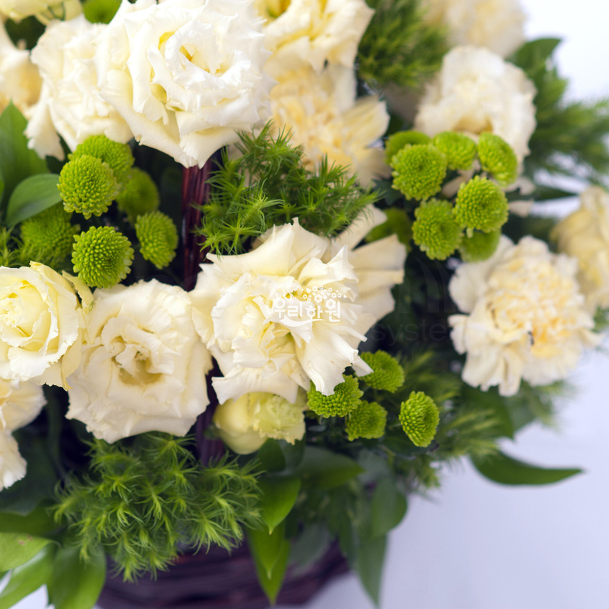 rac8073_3 상세이미지