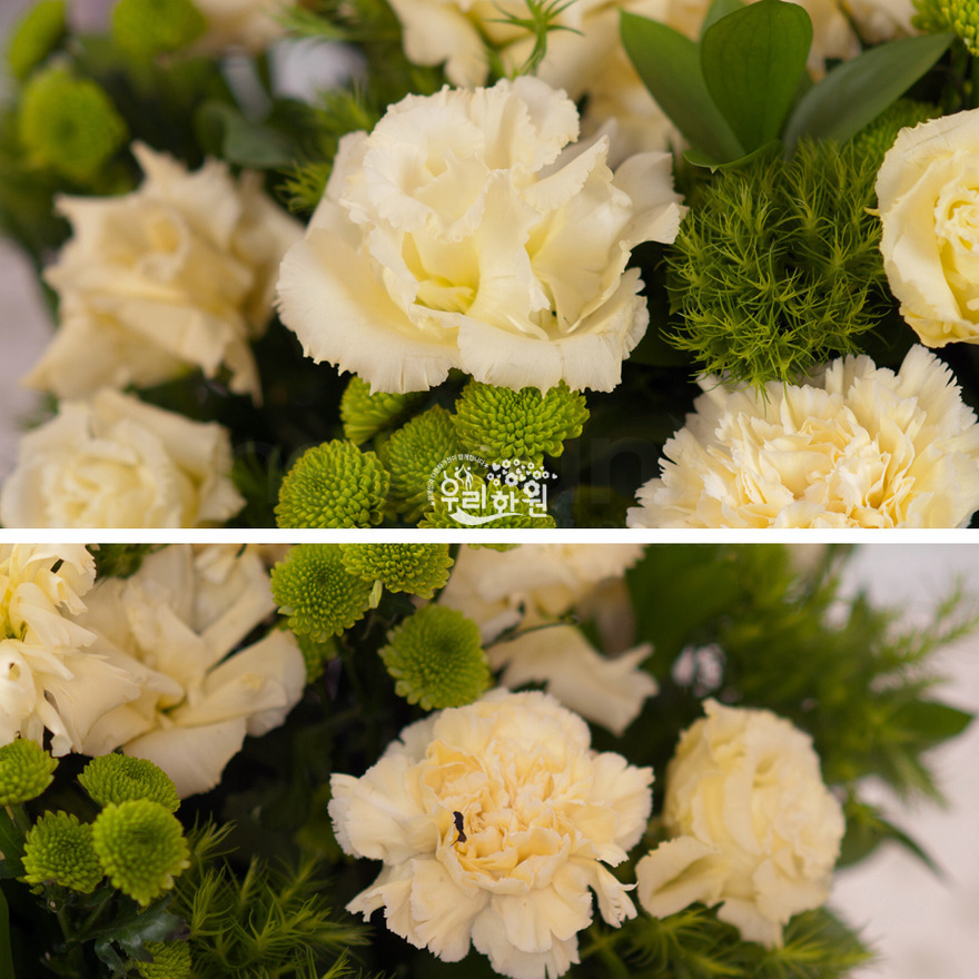 rac8073_4 상세이미지