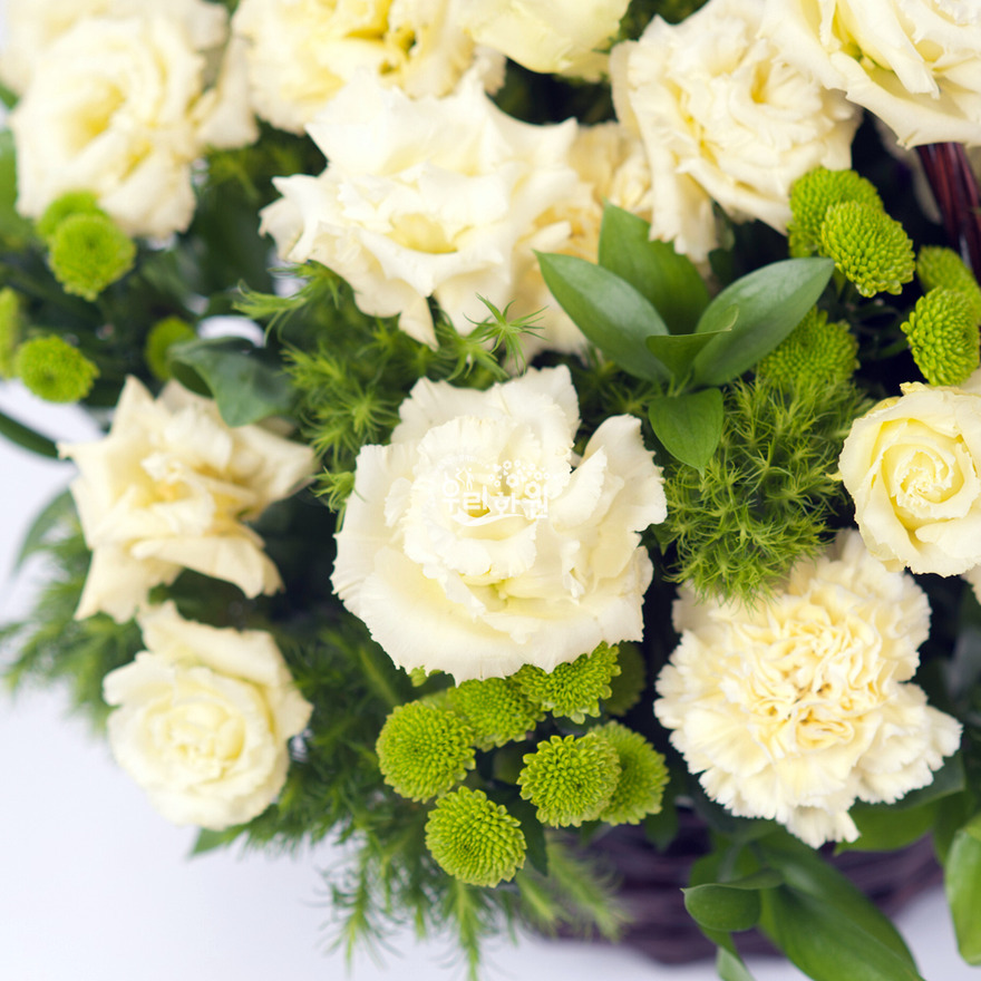 rac8073_6 상세이미지