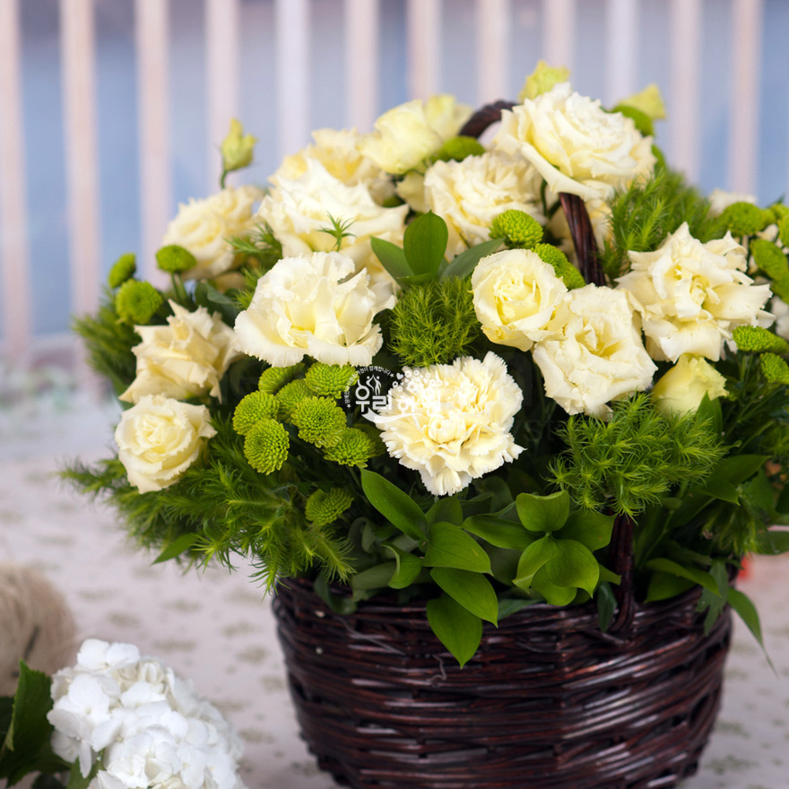 rac8073_7 상세이미지