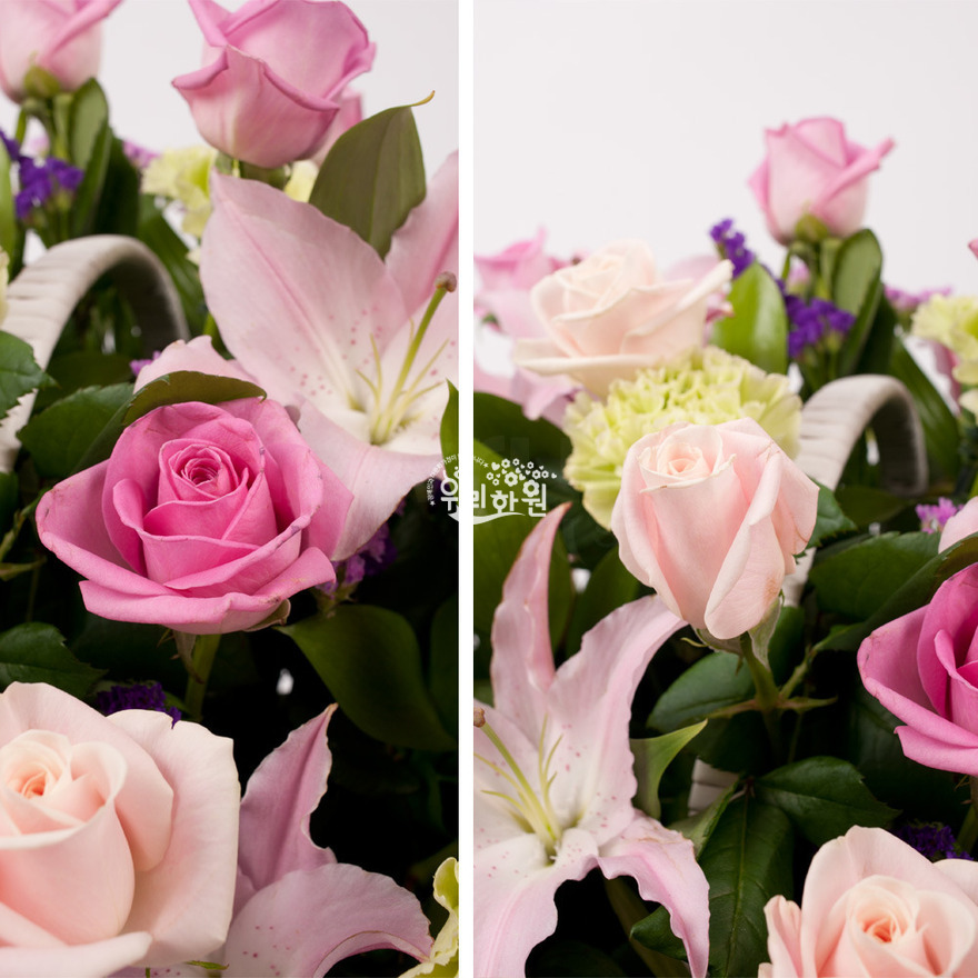 rac9039_4 상세이미지