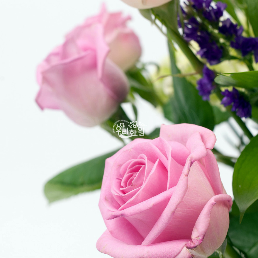 rac9039_6 상세이미지