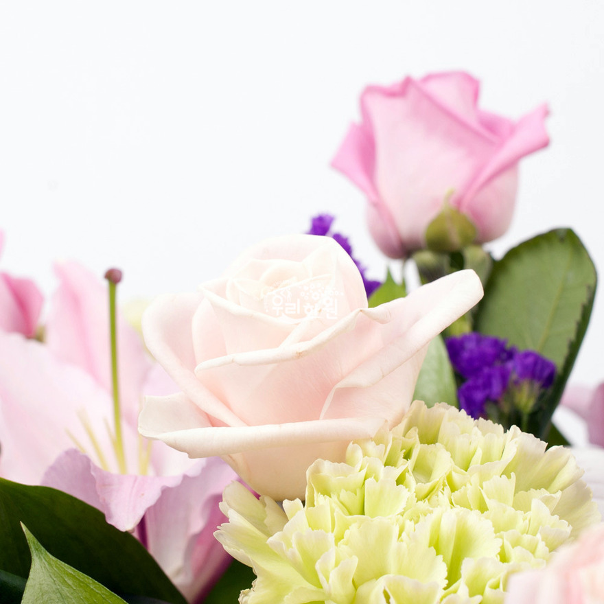 rac9039_7 상세이미지