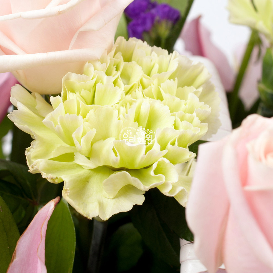 rac9039_8 상세이미지