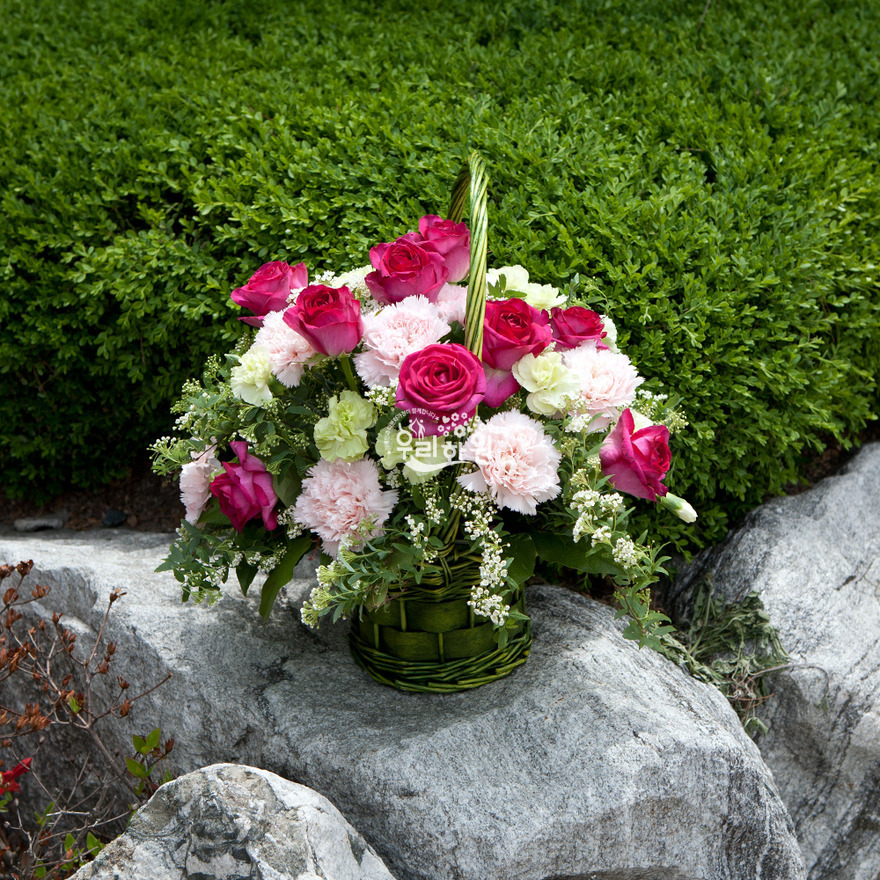 rac9057_6 상세이미지