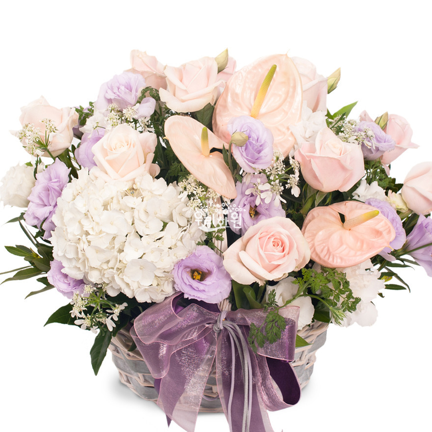 rac9082-1 상세이미지