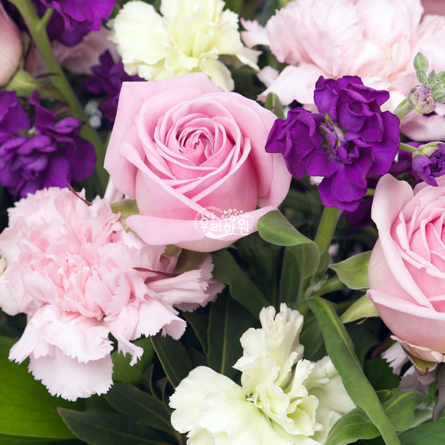 rac9099_7 상세이미지