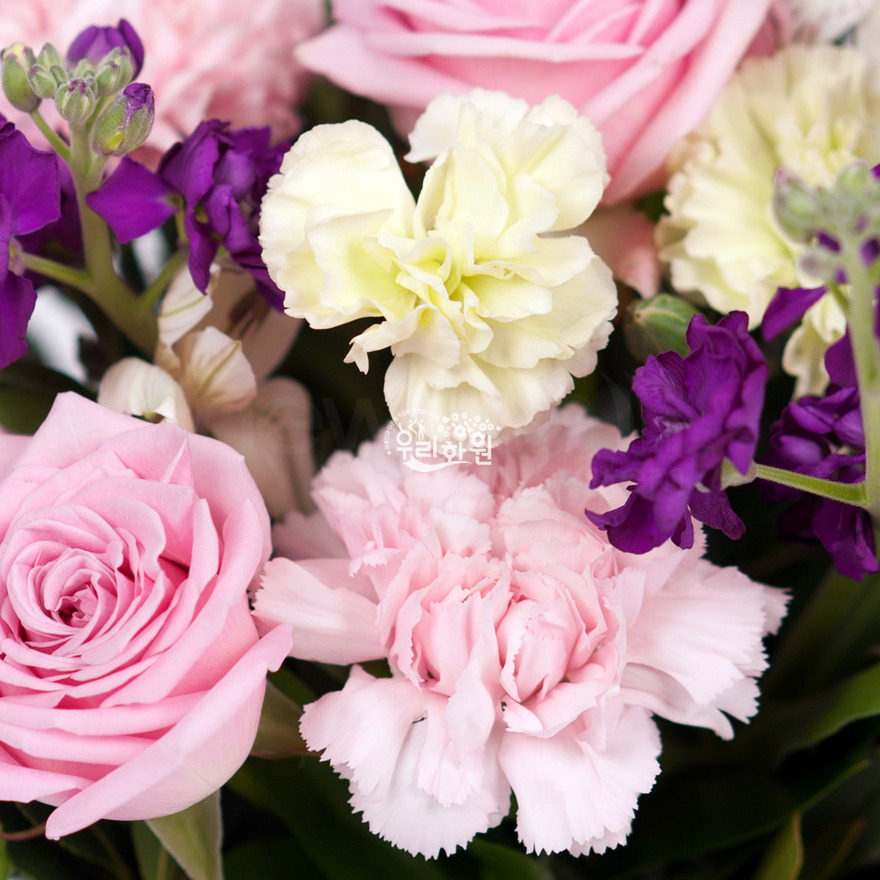 rac9099_8 상세이미지