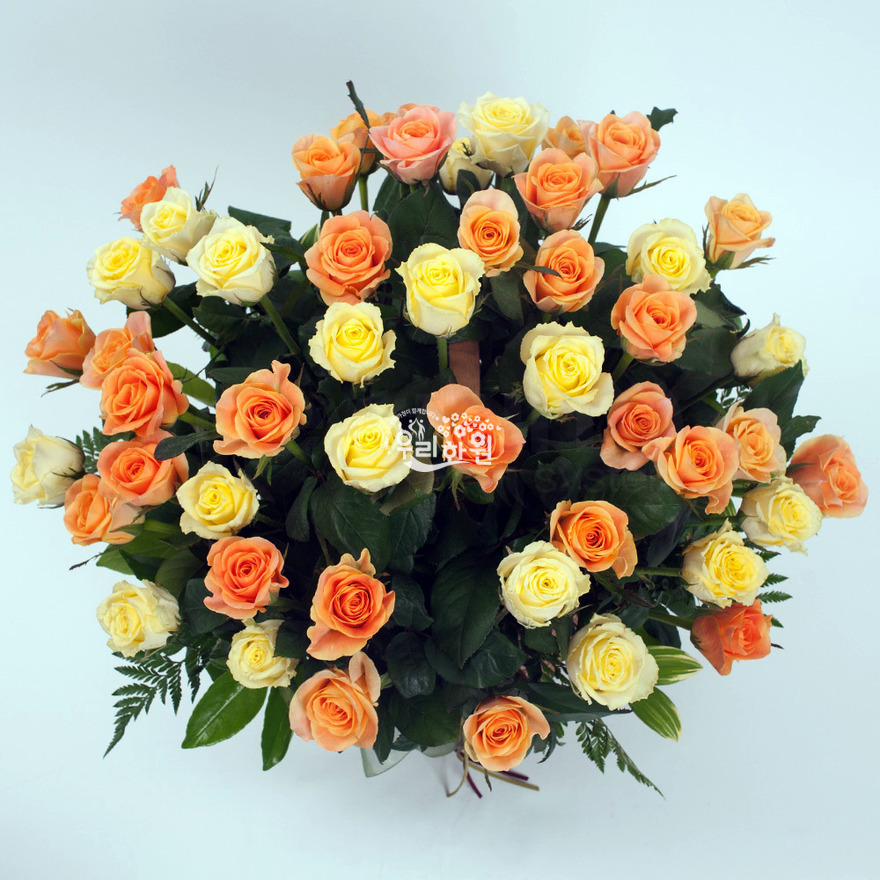 rac9103_1 상세이미지