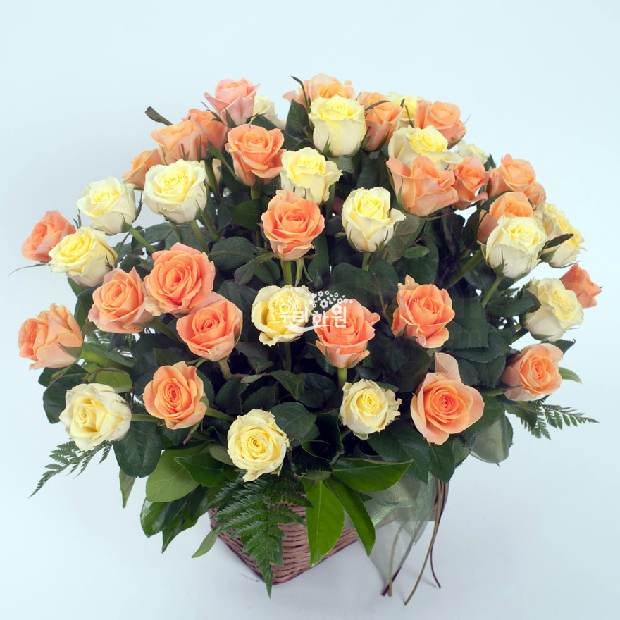 rac9103_2 상세이미지