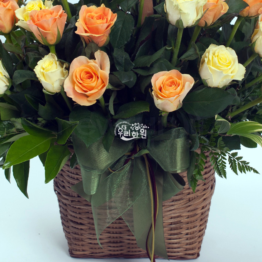 rac9103_4 상세이미지