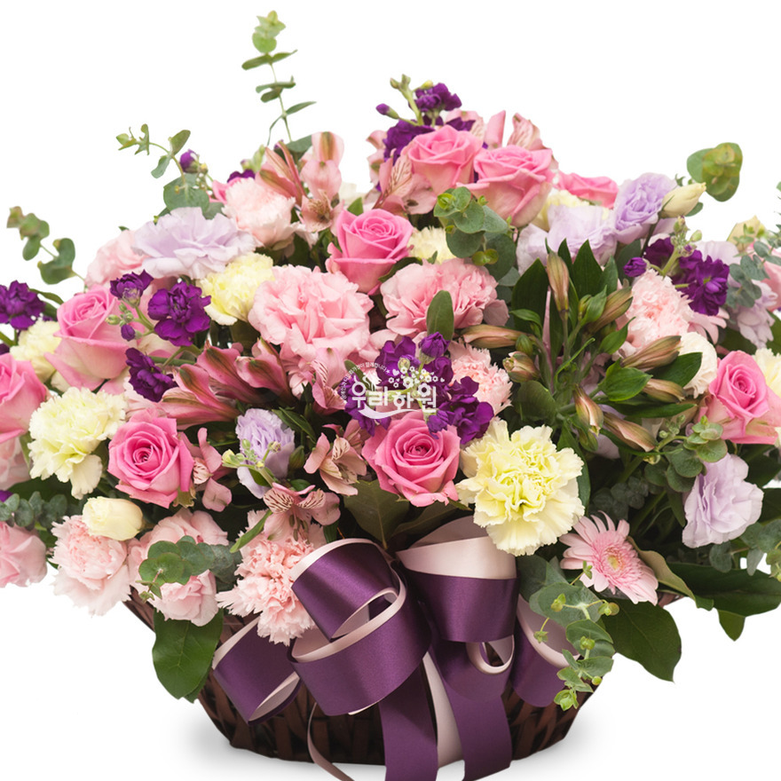 rac9116-1 상세이미지