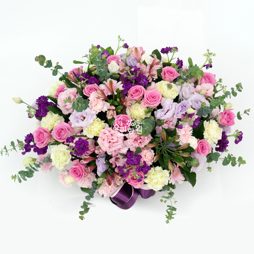 rac9116_1 상세이미지