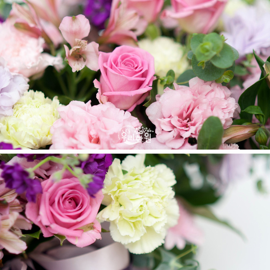 rac9116_3 상세이미지