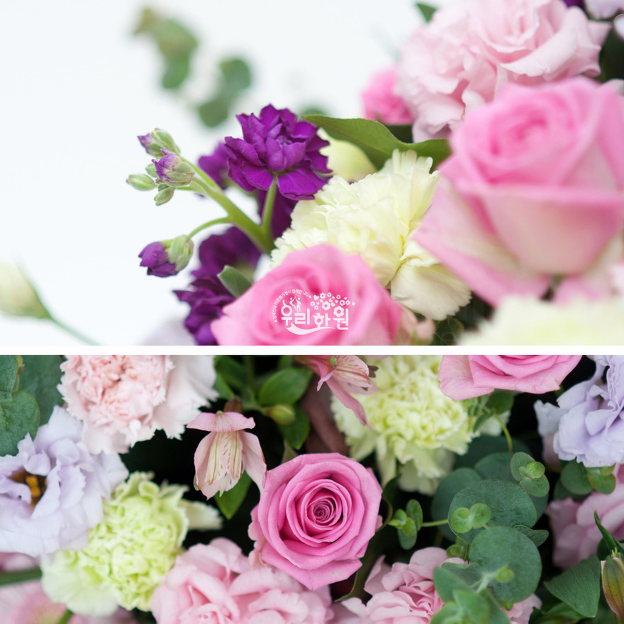 rac9116_6 상세이미지