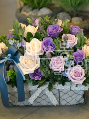 Old-fashioned violet