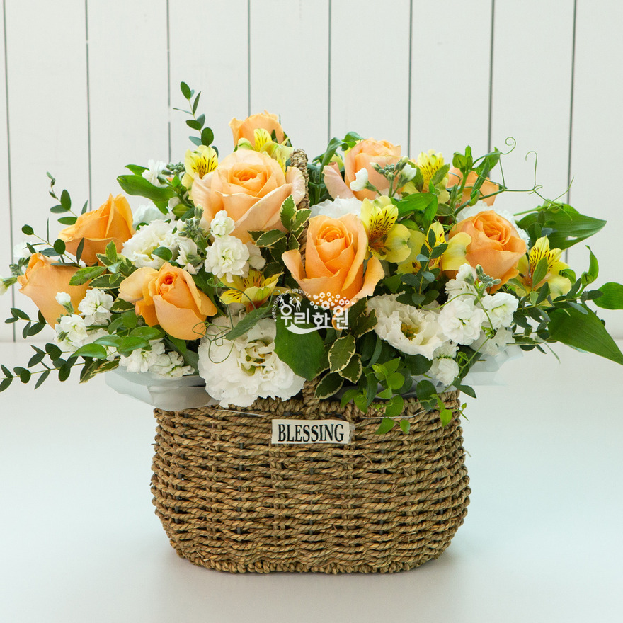 ras2c3008-1 상세이미지