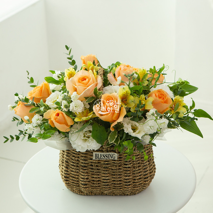 ras2c3008_2 상세이미지