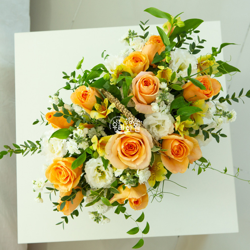 ras2c3008_8 상세이미지