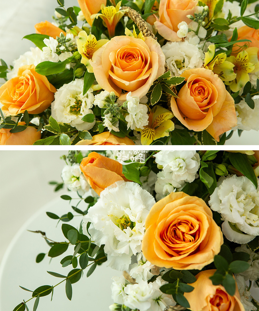 ras2c3008_9 상세이미지