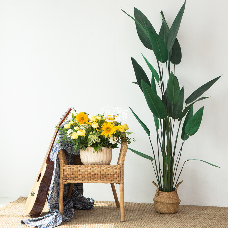 ras2c3027_5-1 상세이미지