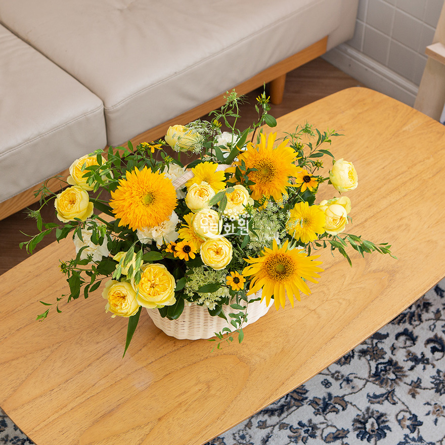 ras2c3027_7-1 상세이미지