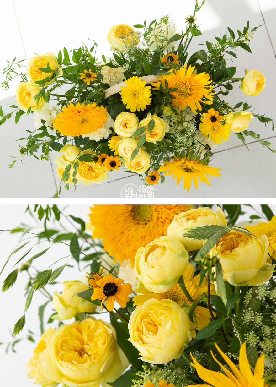 ras2c3027_9-1 상세이미지